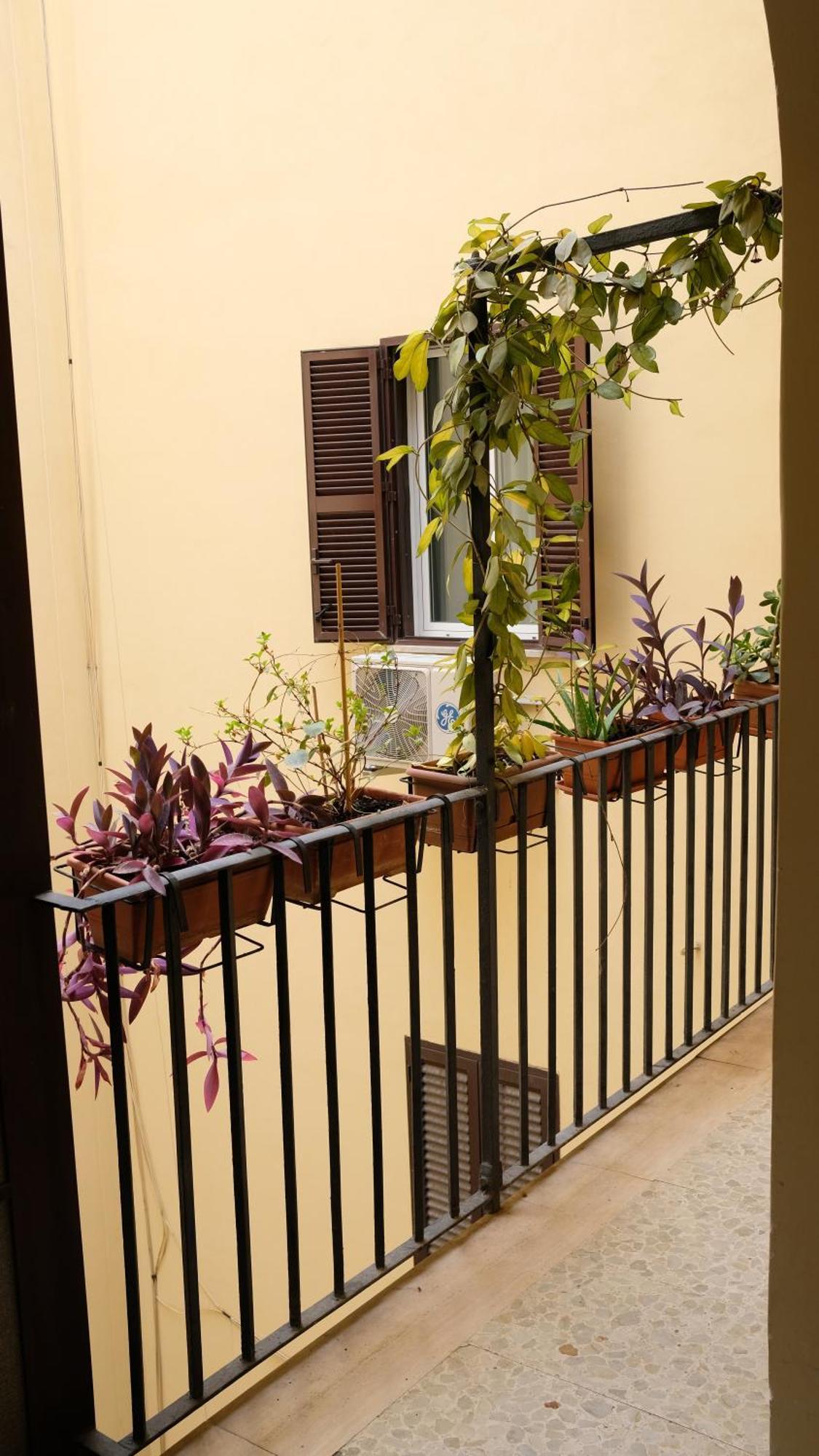 New, True-stevere Amazing Double Bed For 5 Pax