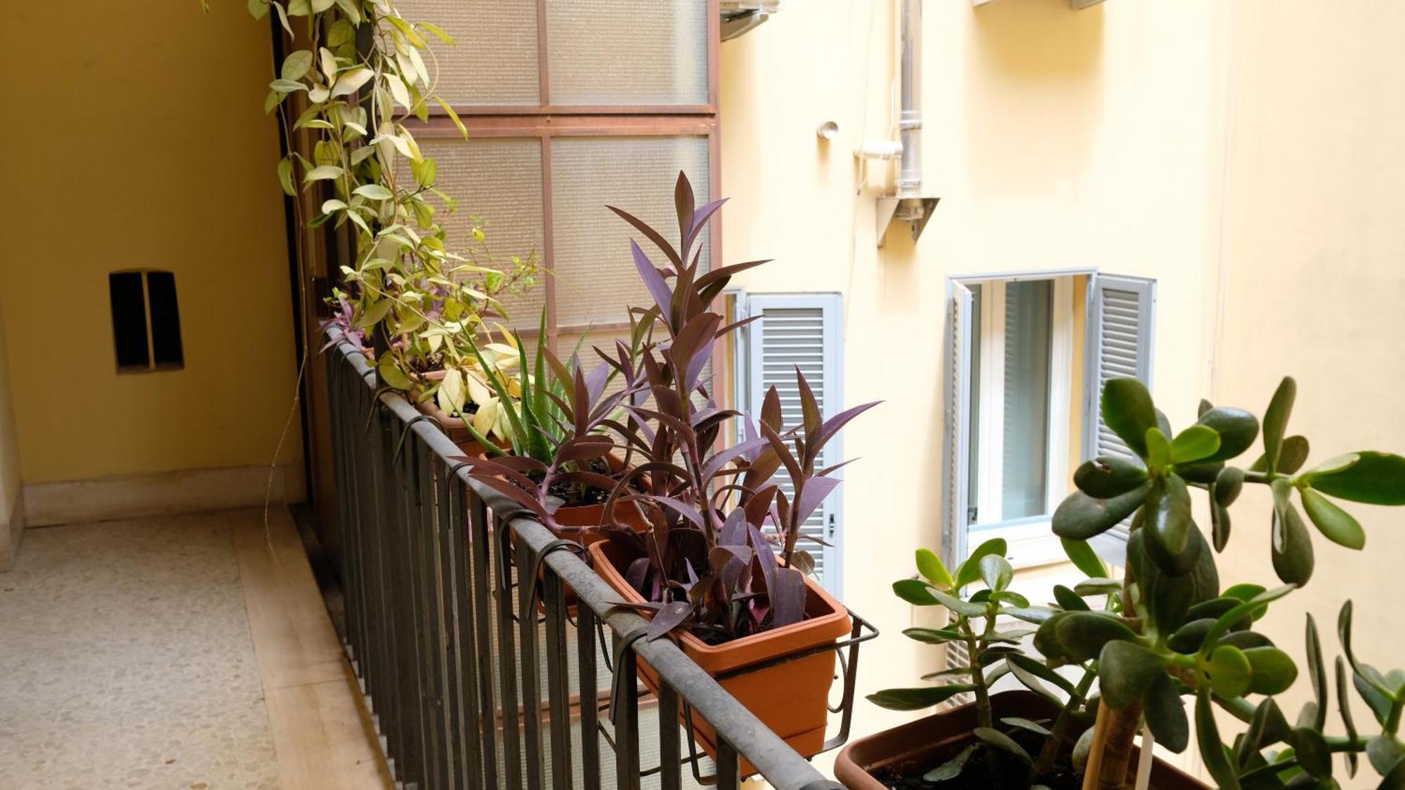 New, True-stevere Amazing Double Bed For 5 Pax Appartamento *