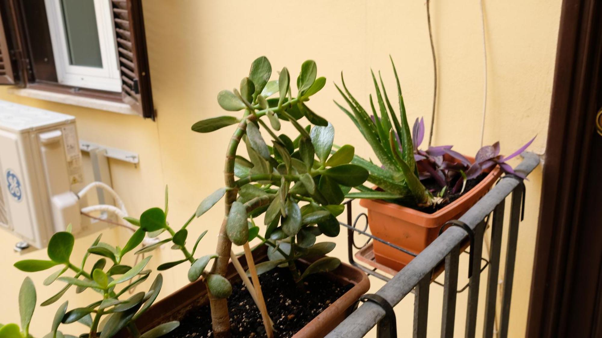 New! True-stevere Amazing Double Bed For 5 Pax * Rom