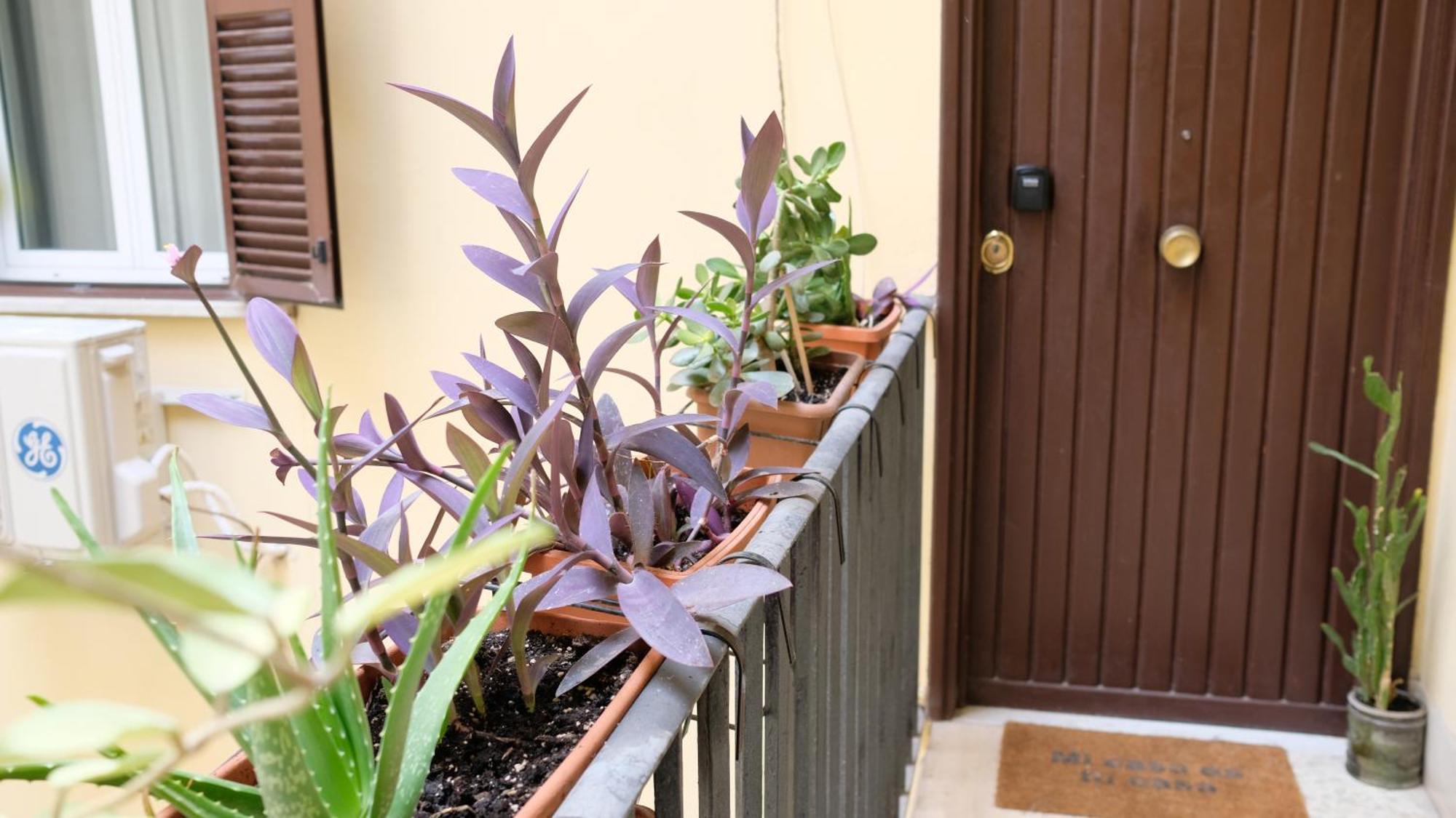 New, True-stevere Amazing Double Bed For 5 Pax